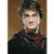 Do You Know The Harry Potter Series?