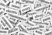 Basic Vocabulary Quiz