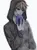 How well do you know Eyeless Jack?