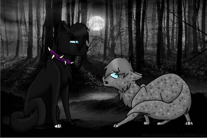 All about warrior cats's Photo