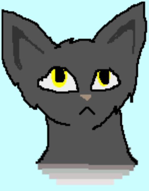 Warriors OC Club Warriors OC Club