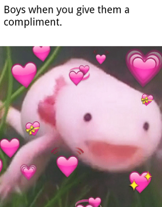 Wholesome memes's Photo