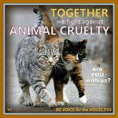 against animal abuse!