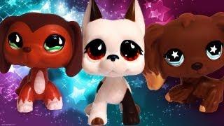 Lps Haunted /lps lovers only