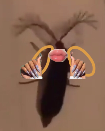 bitch eyelash bug's Photo