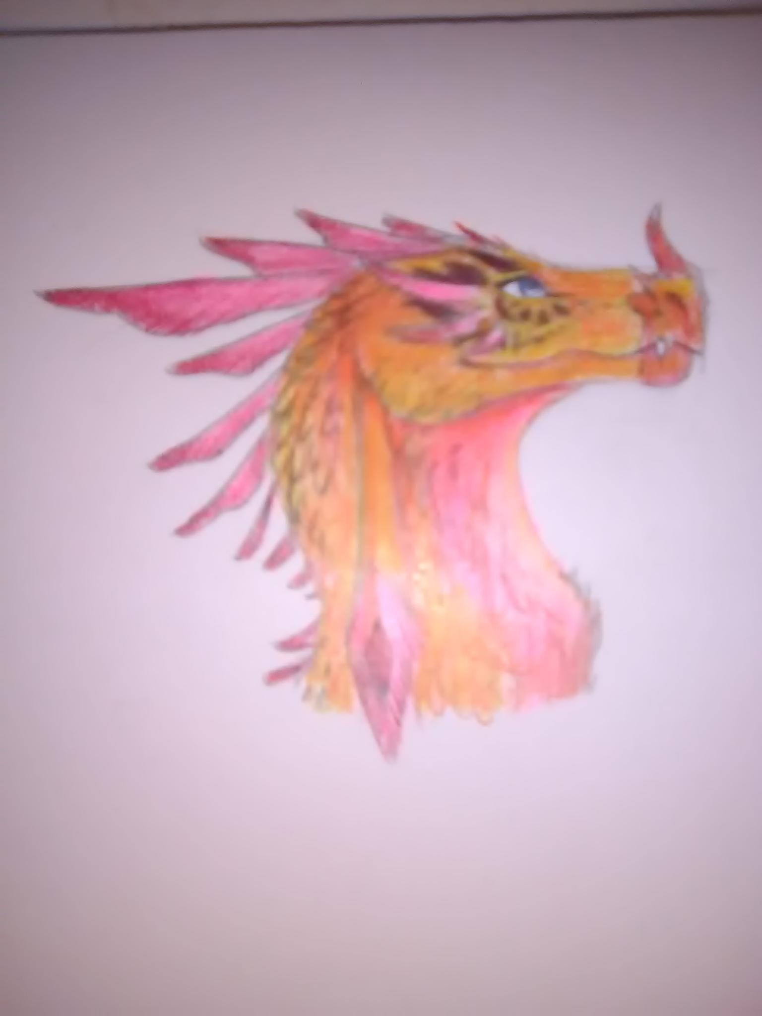 My dragon art page?'s Photo