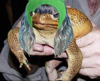 frog girl fredrick-