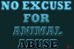 Animal Abuse Needs To STOP!!'s Photo