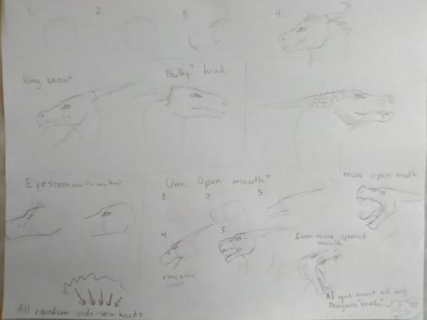 <c:out value='How-to:side view dragon head'/>
