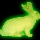Rabbits deserve to glow in the dark...