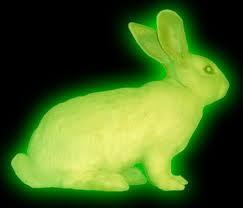 Rabbits deserve to glow in the dark...'s Photo