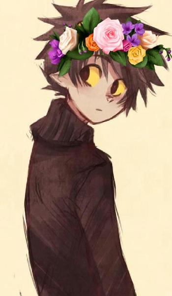 <c:out value='Karkat with flowercrown'/>