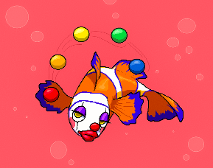 random stupid clown fish for schoool