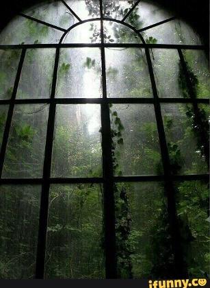 abandoned greenhouses because aesthetic's Photo