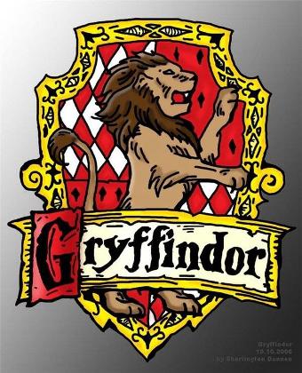 Gryffindor Common Room (1)'s Photo