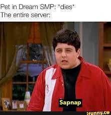 Dream smp Memes's Photo