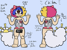 anatomy of chiba 1