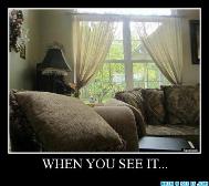 Look behind the cushion on the left of the picture... O.o