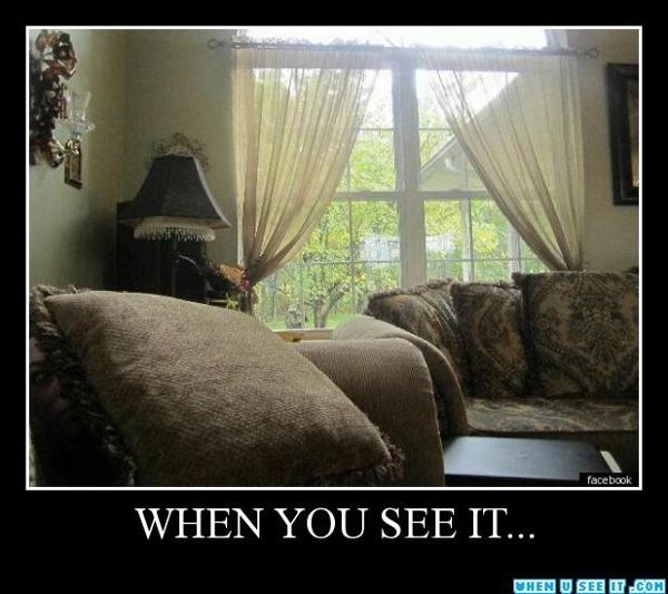 <c:out value='Look behind the cushion on the left of the picture... O.o'/>