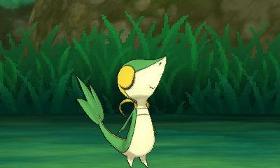 here have a cute snivy