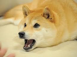 Doge Clan Doge Clan