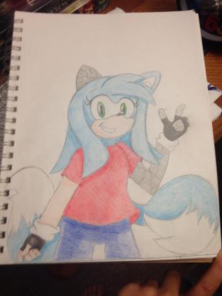 Sonic OC drawings (Taking Requests)'s Photo
