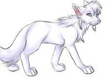 Zarina wolf