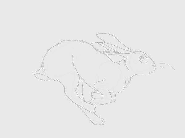 <c:out value='rabbit sketch 1'/>