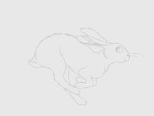 rabbit sketch 1