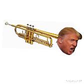 I Googled Donald Trumpet... Not Disappointed