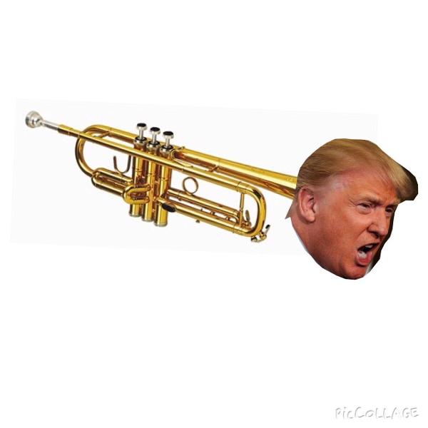 <c:out value='I Googled Donald Trumpet... Not Disappointed'/>