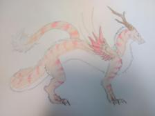 Sakura dragon