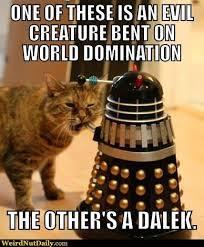 Doctor Who Memes and Funny Images's Photo