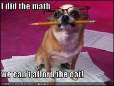 Let dogs do the Math!