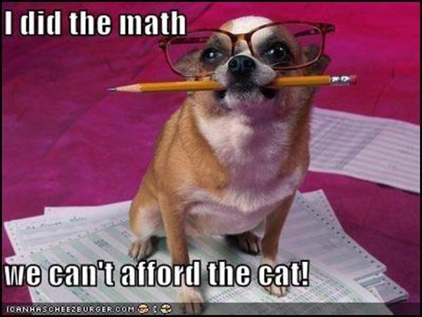 <c:out value='Let dogs do the Math!'/>