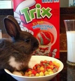 <c:out value='Silly Rabbit! Trix Are for Kids!'/>