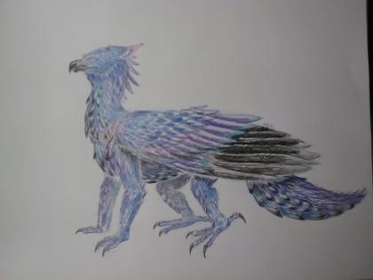 My dragon art page?'s Photo