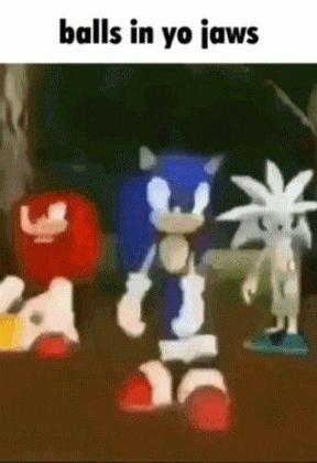 Sonic the Hedgehog's Photo