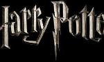Harry Potter RP