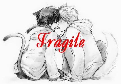 Fragile: The Online Book's Photo
