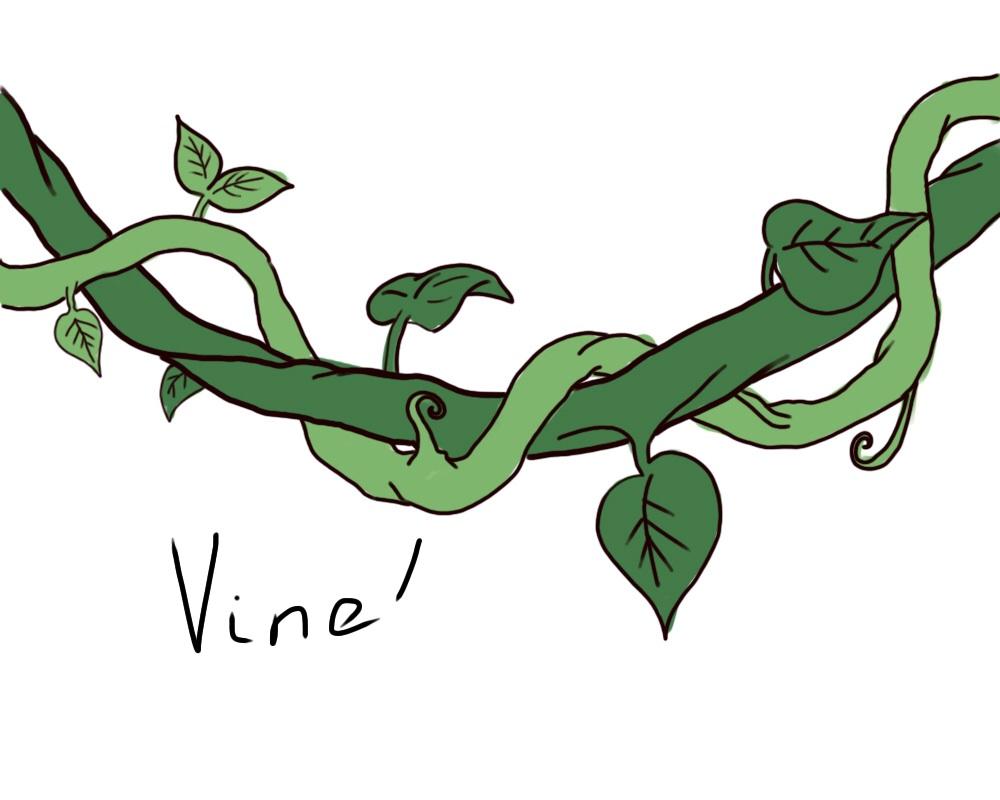 Vine fan page