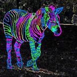 neon zebras (1)