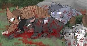 Hollyleaf who died protecting Ivypool from Hawkfrost