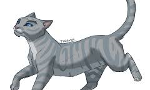Would Sliverstream had gone to thunderclan to rasie her kits along side greystripe IF she lived?