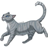 Would Sliverstream had gone to thunderclan to rasie her kits along side greystripe IF she lived?