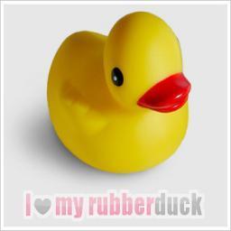 Rubber Duck Fans's Photo