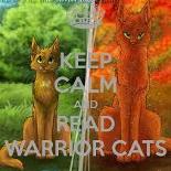 Warrior Cats (2)
