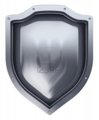 The Shield's Photo
