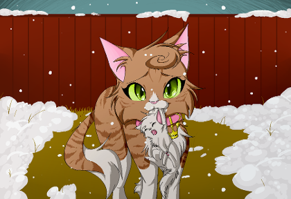 All about warrior cats's Photo