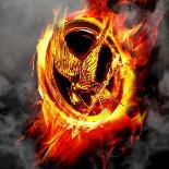 Hunger Games RP!!!